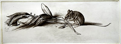 Richard Müller
(1874-1954),Mouse and laurel,Laurel, gained during lifteime becomes mousefood after death