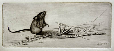 Richard Müller (1874-1954),Müllers Mäusedarstellungen brachten ihm den
Spitznamen Mäuse-Müller ein,because of his mouse-depictions Müller earned the
nickname Mice-Müller