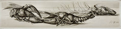 Richard Müller (1874-1954),Wehrhafte Tiere im sinnlosen Kampf um eine abgenagte
Gräte, enstanden 1918 !,two well-fortified creatures in senseless fight for a fishbone (during
WW I.!)