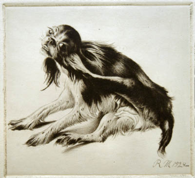 Richard Müller
(1874-1954),Müllers Hund in ungewöhnlicher  Stellung erfasst,Müllers King-Charles
dog captured in an unusal position 